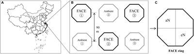 Elevated Atmospheric CO2 and Nitrogen Fertilization Affect the Abundance and Community Structure of Rice Root-Associated Nitrogen-Fixing Bacteria